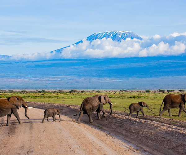 Amboseli National Park