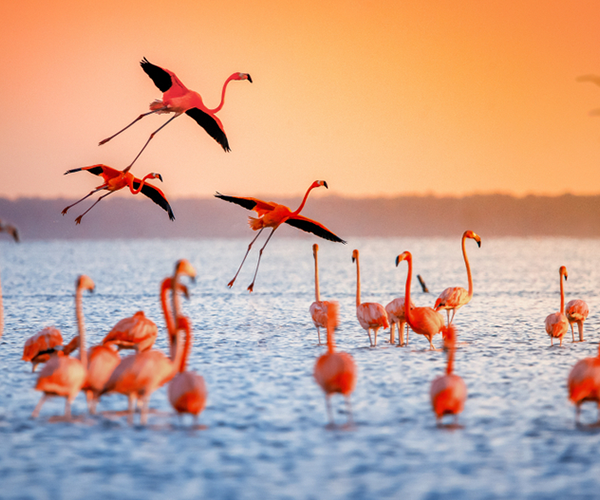 Lake Nakuru National Park