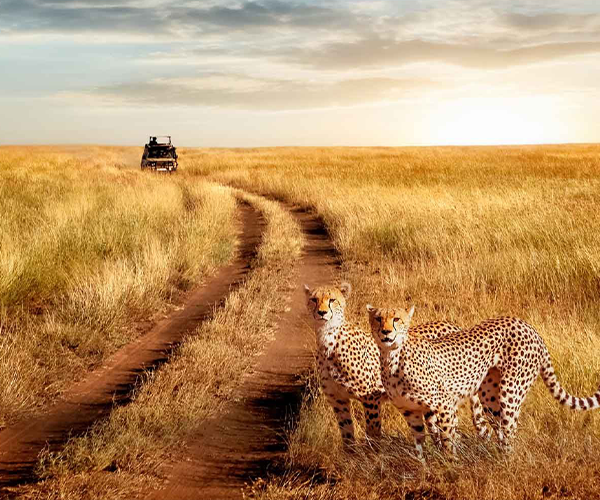 Serengeti National Park